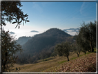 foto Colline Marosticane nella Nebbia